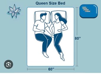 Queen bed + box spring
