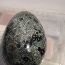 Kambaba Jasper 