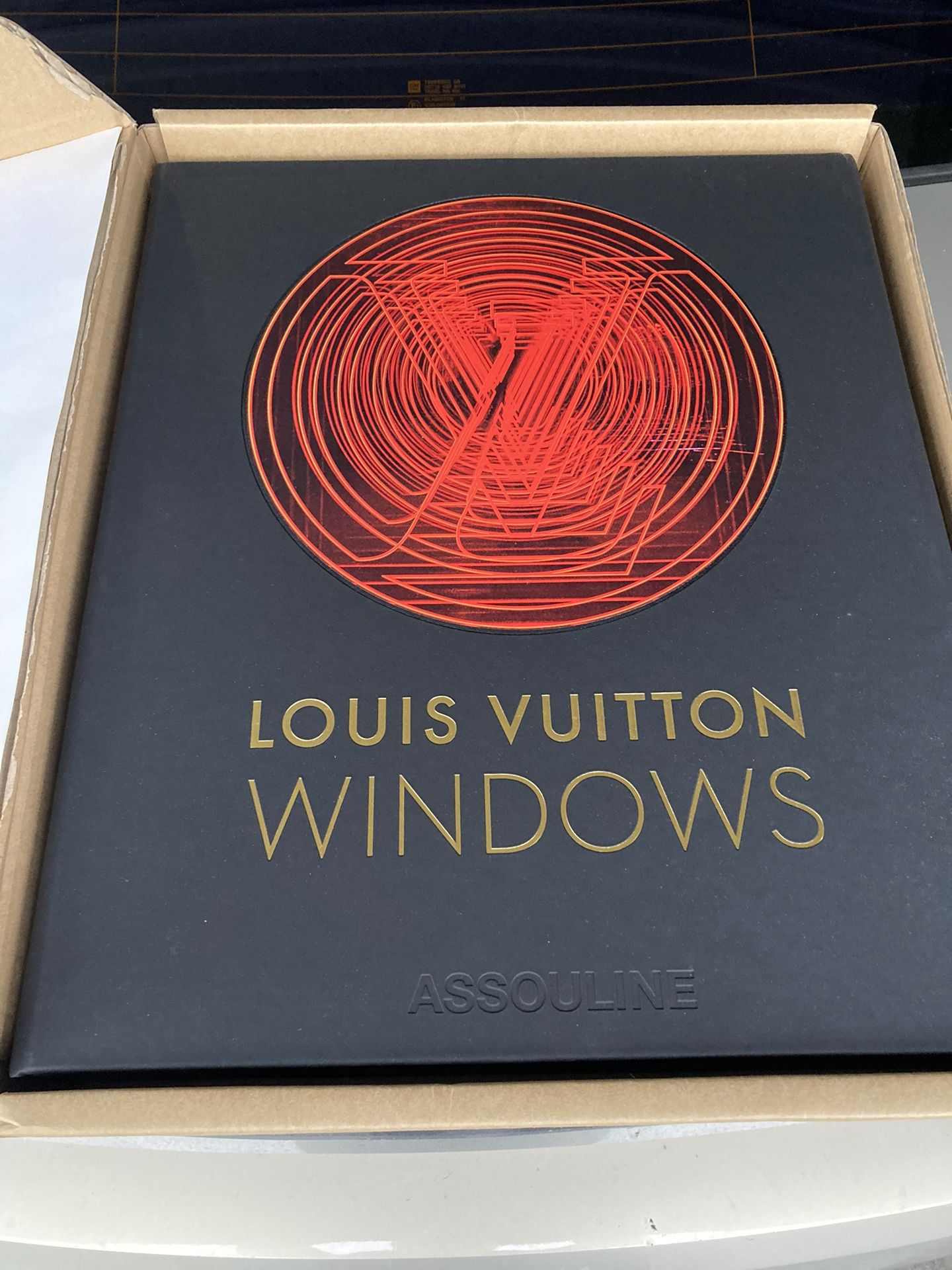 Louis Vuitton Windows book