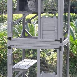 Cat Catio