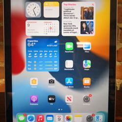 Apple iPad 5th Gen Silver 128GB WiFi/Cellular Unlocked