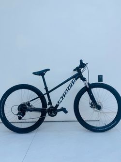 Specialized Mountain Bike