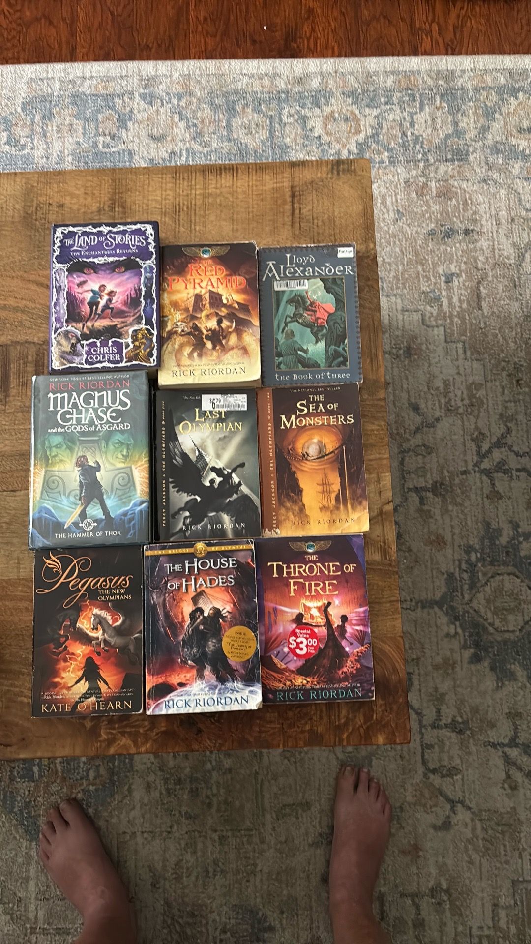 YA fantasy book lot