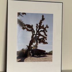 Joshua Tree Pioneertown Framed Photo Art Print