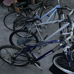 Bicycles For Sale 