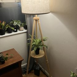 Tripod Lamp Stand 