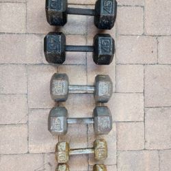 Home Gym - Bench + 190 Lbs Dumbells 