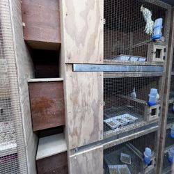 Cage For Cockatiels Baby’s And Adults 