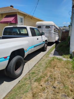 Local Horse Transportation