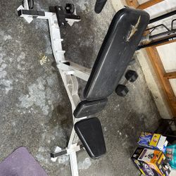 Adjustable Workout Bench
