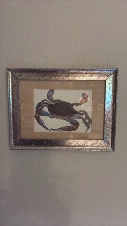 Crab pic