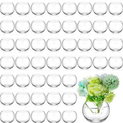 Zopeal 46 Pcs Fish Bowl Vase Glass Bubble Bowl Globe Glass Clear Bubble Vase Round Terrarium Goldfis