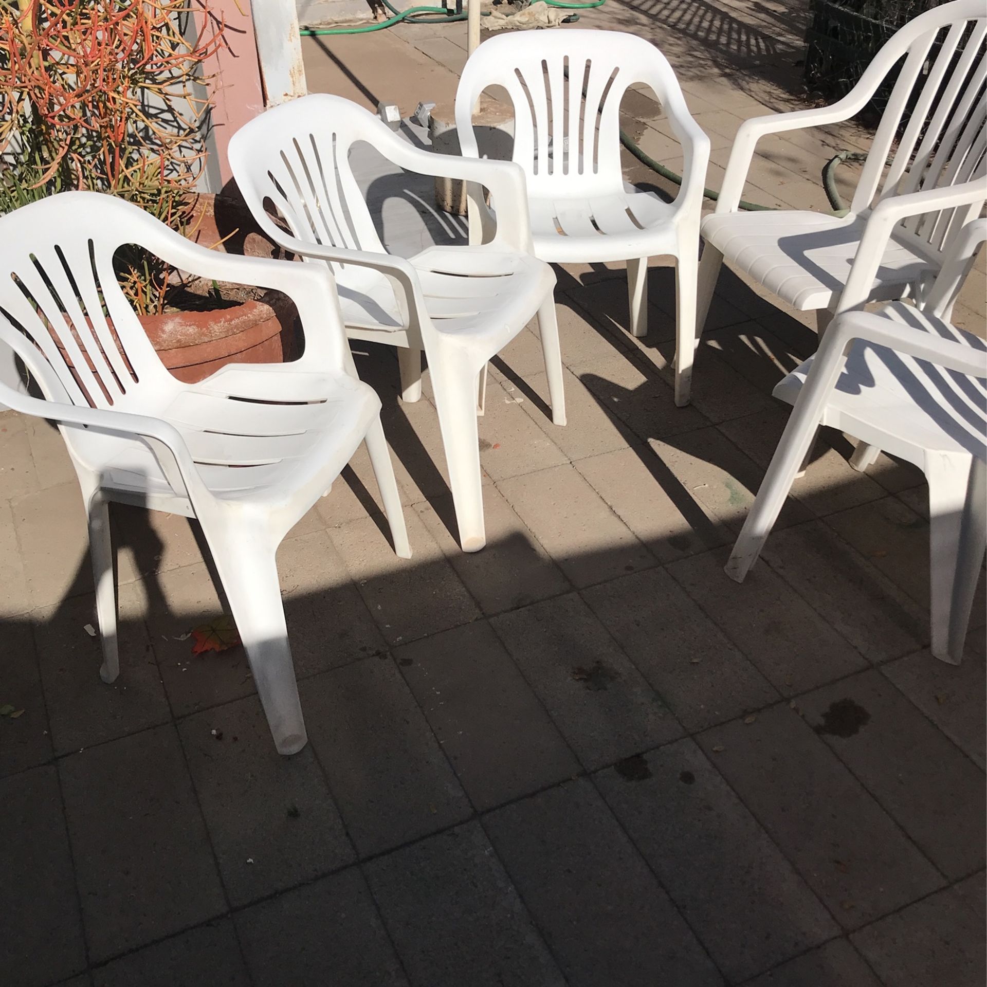 Plastic Chairs 🪑 $ 9 Dollars Each 