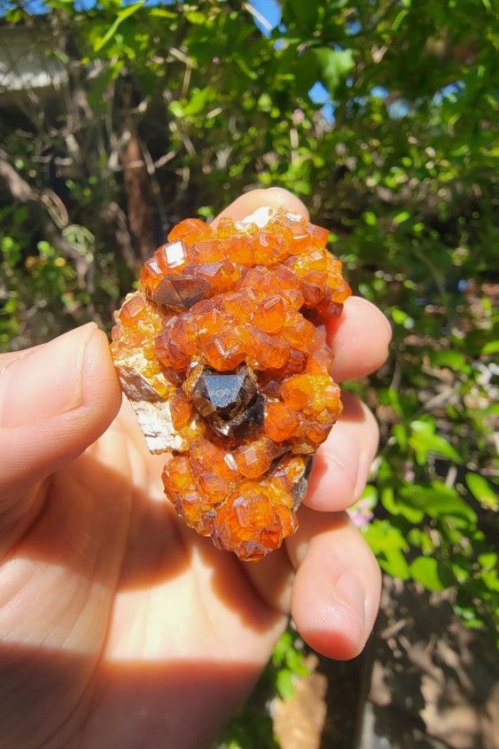 Spessartite Garnet Crystals W/ Smoky Quartz