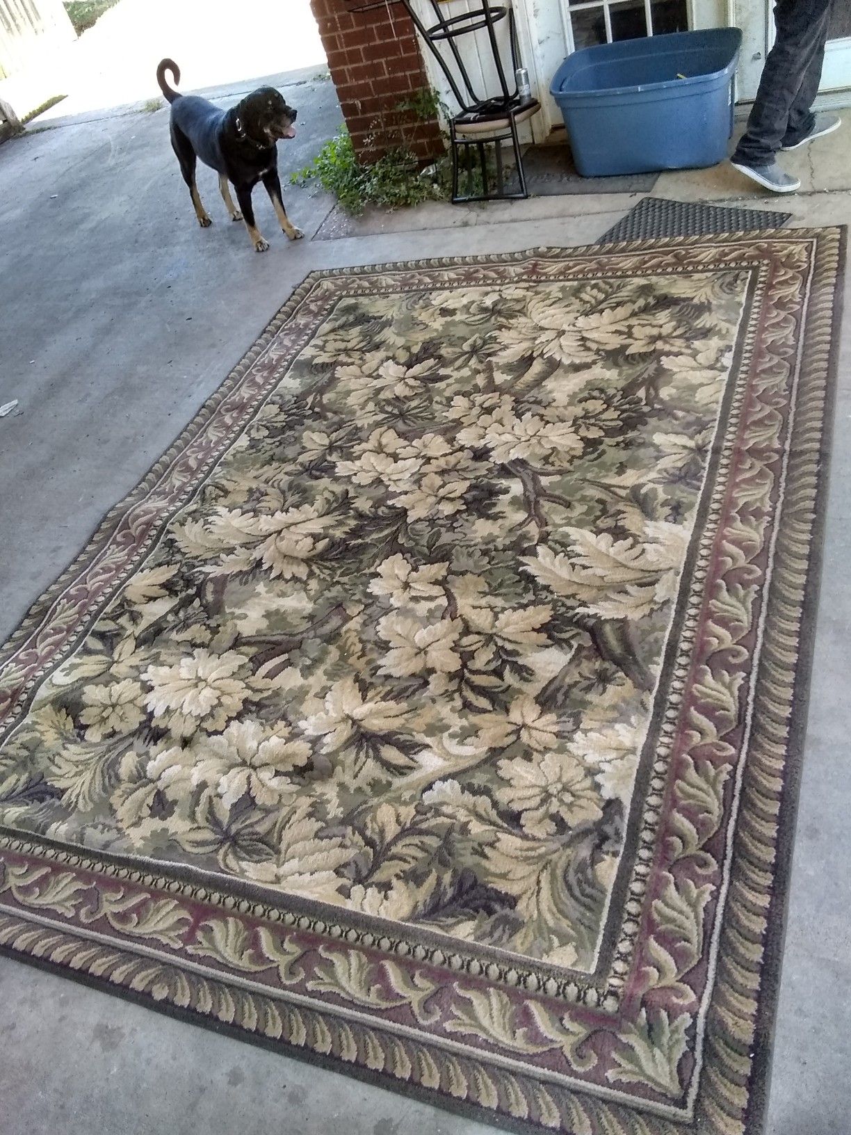 Very big antique rug I think it is 10' × 8.5' will varify if needed. No stains or odor, I just have no use for it