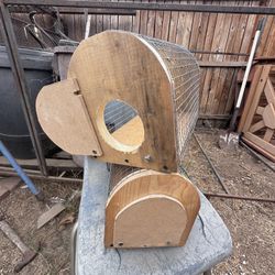 Bird Carrier Y Loverbirds 