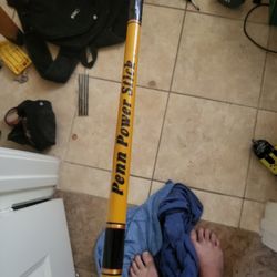Penn Power Stick With Penn Reel