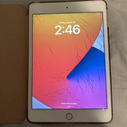 Ipad Mini 5th Generation 