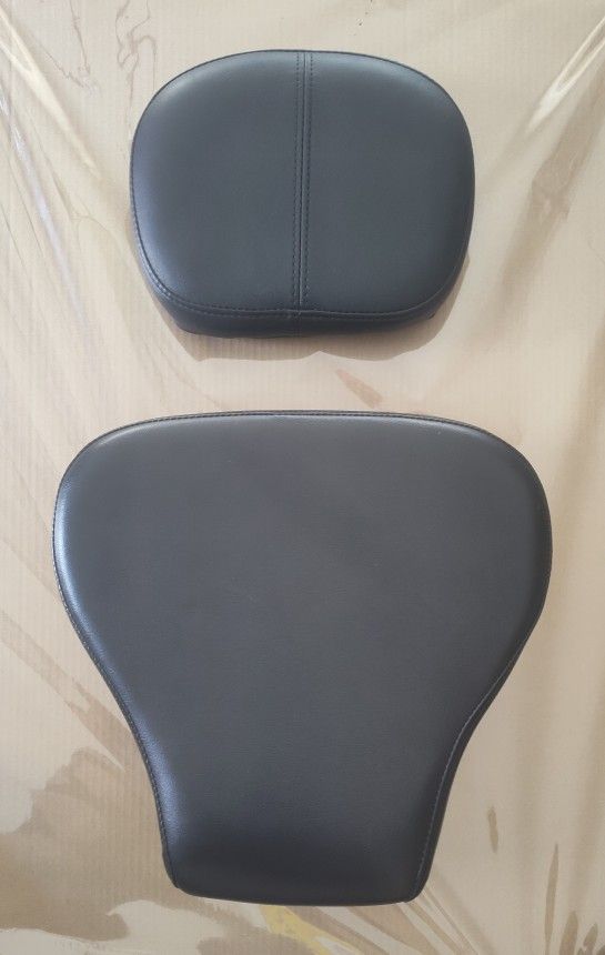 Harley Passenger Seat And Back