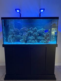 90 Gallon Deep Blue Reef Ready