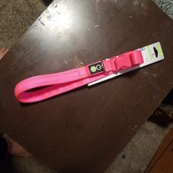 Good2Go LED LIGHT UP COLLAR For Dogs XL
