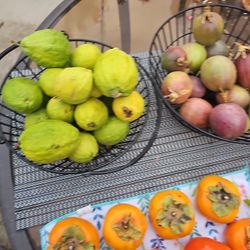 Variety of Fruits Flash Sale