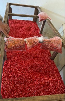 Chiltepin seco sonorense