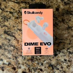 Skull Candy Ear Plugs 