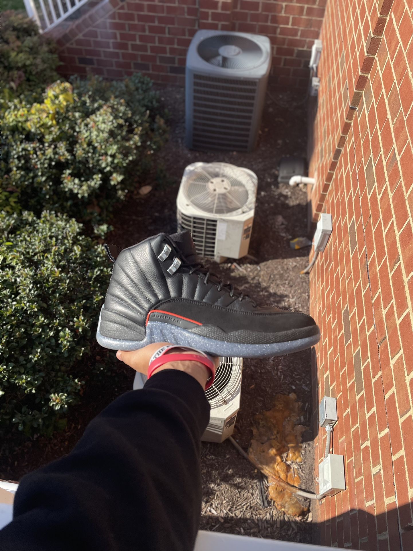 Jordan 12 Utility Sz 9