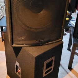 18 Inch Subwoofer Pair  It Works