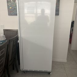 Restaurant Style Freezer For Home 