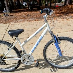 24 In. Mountain Bike