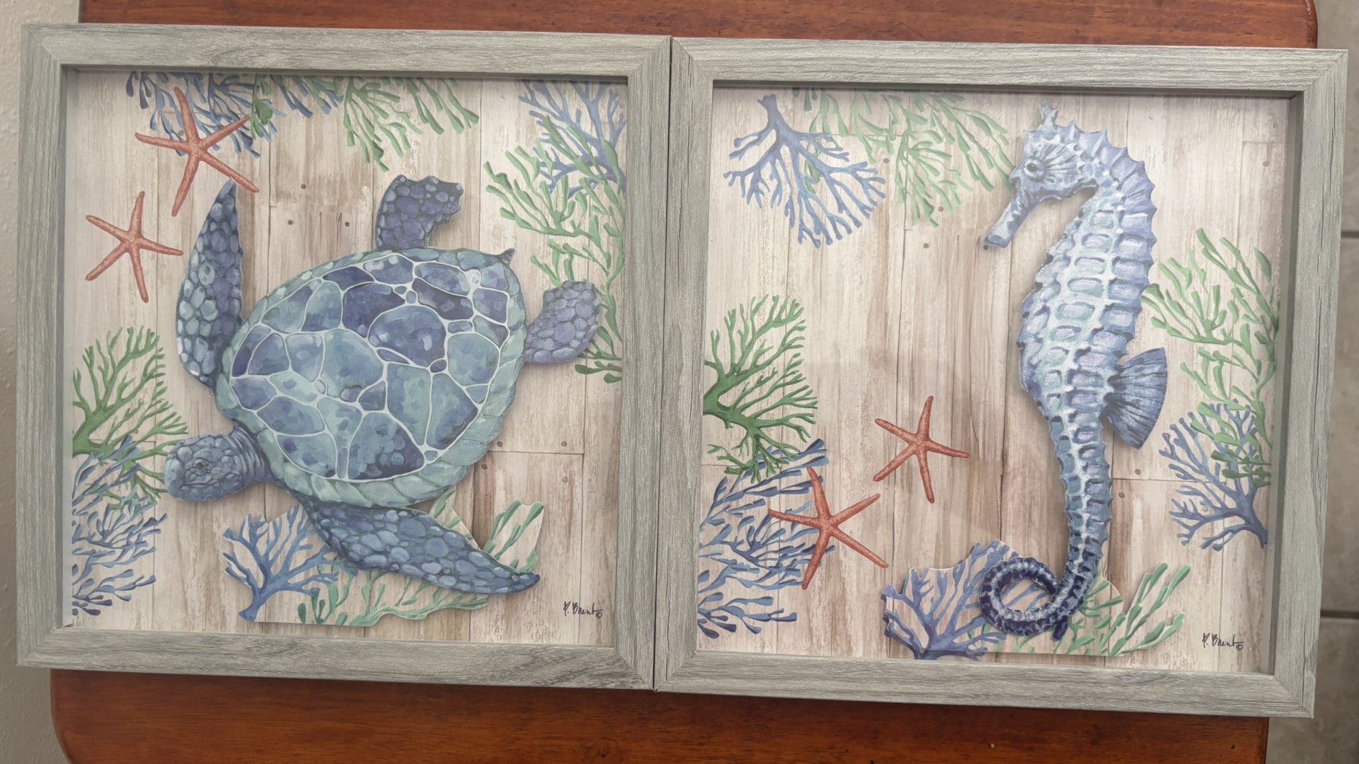 Sea Creature Decoration Pictures