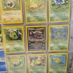 Pokemon Southern Islands Collection With 155 Pokemon Cards  Part 2