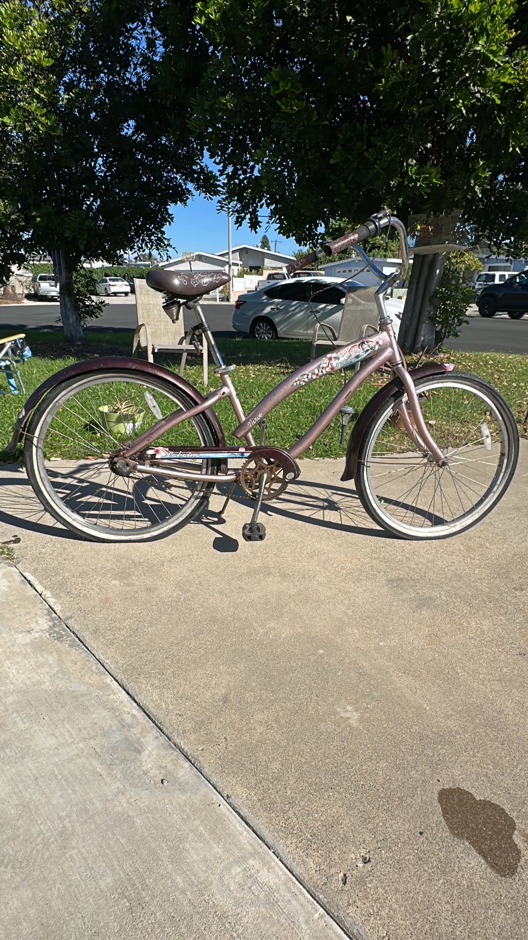 Beach Cruiser 