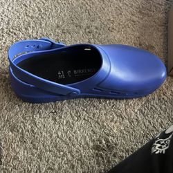 Birkenstocks Clogs 