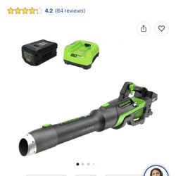 Greenworks Cordless Handheld Leaf Blower