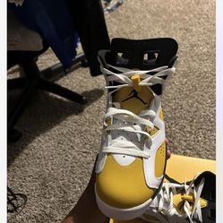Jordan 6’s
