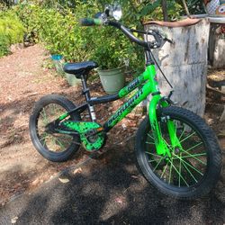 Schwinn Kids Bike