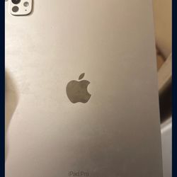 iPad Pro 11 Inch WiFi 256GB