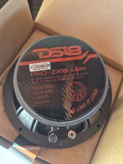 Pair of 8" DS18 PRO ZXI8.4BM 700 WATTS 350 RMS EACH