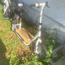 Eco Smart Scooter 