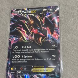 Yveltal EX