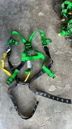 Harness