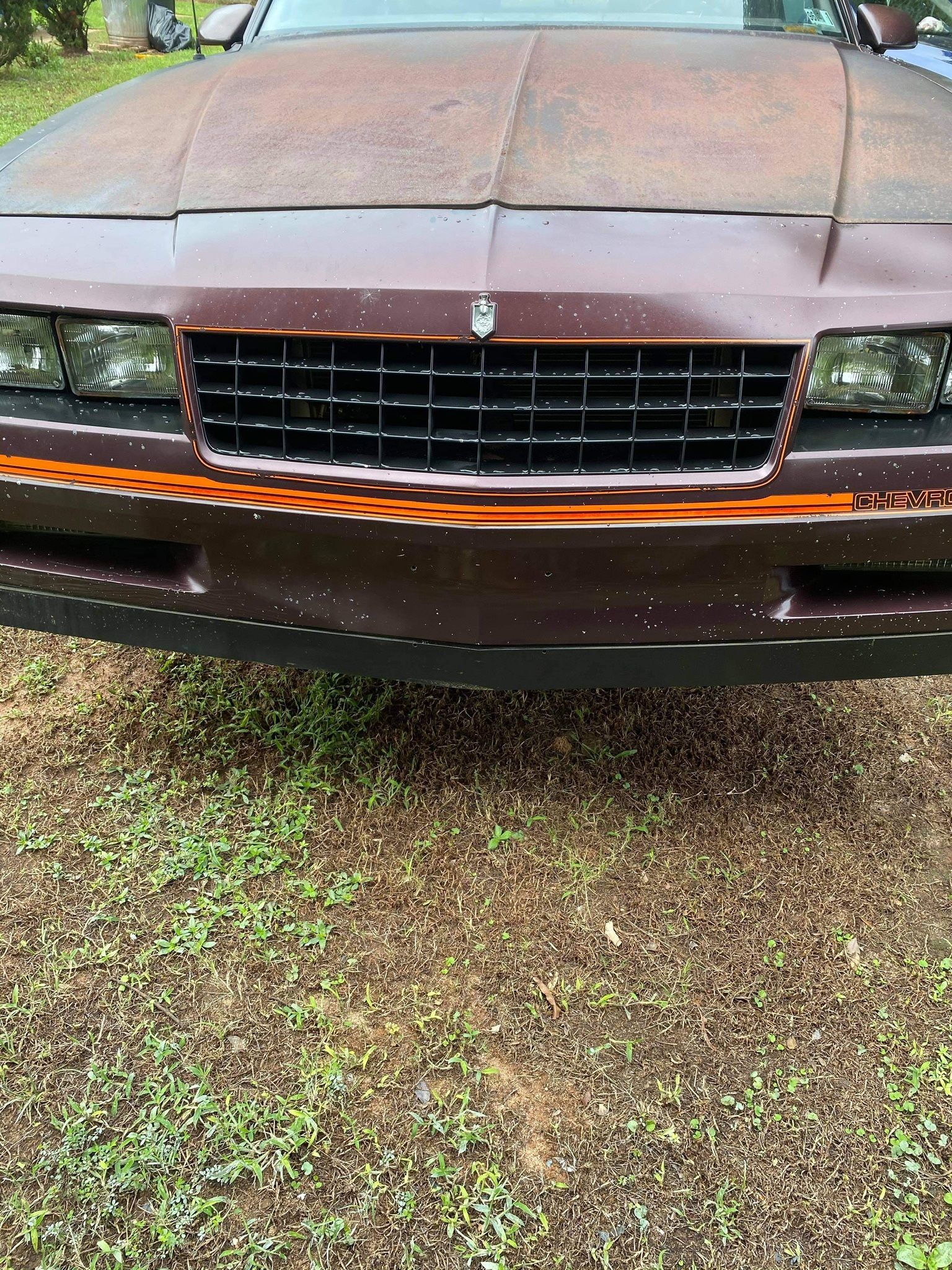  1986 Monte Carlo SS