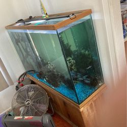 100 Gallons Fish Tank 