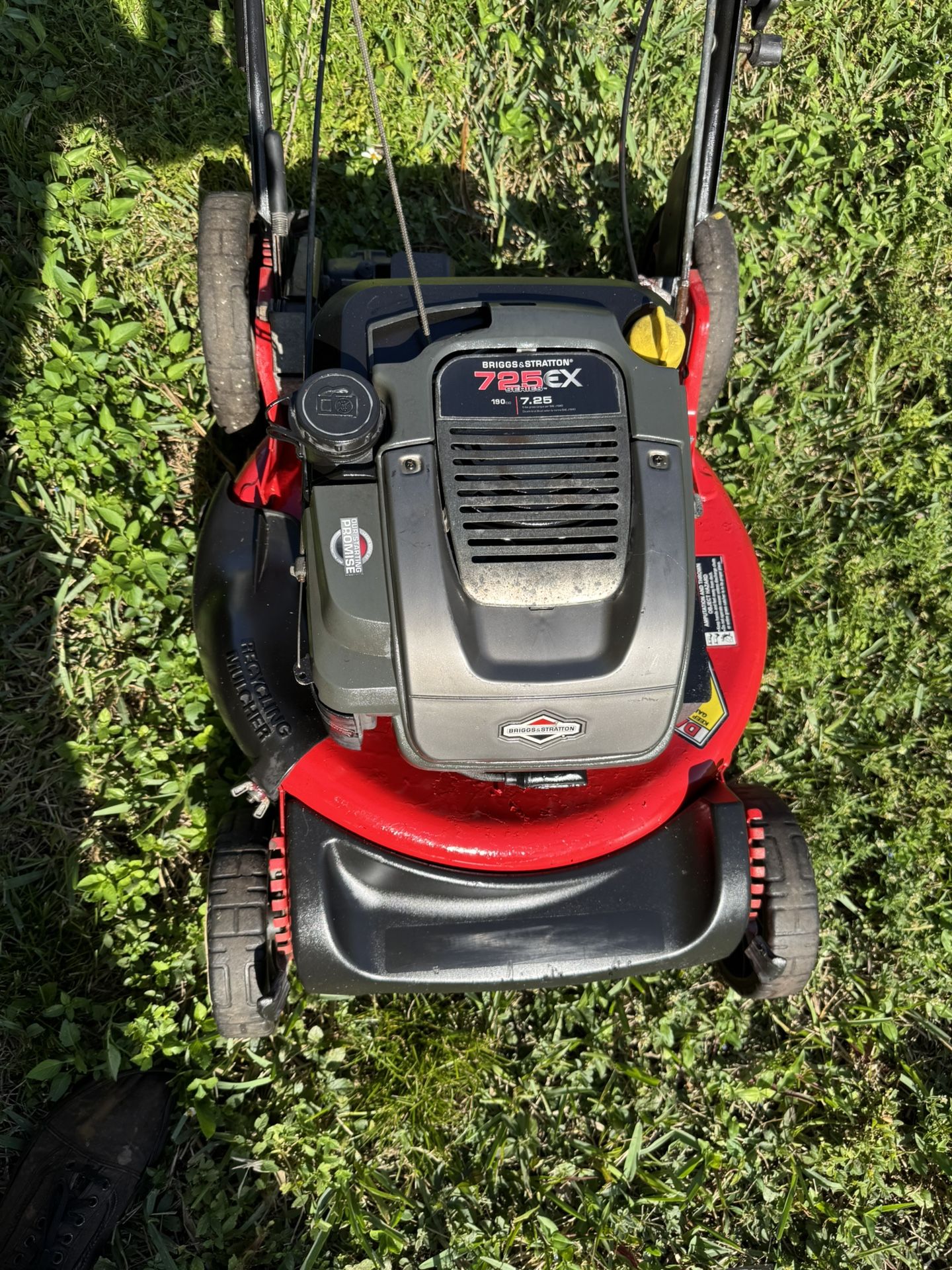 PROFESSIONAL SNAPPER EASY SPEED SERIES MULCHER POWERED BY DIAMOND POWER EXTRA PERFORMANCE 190cc /7.25 tq lb BRIGHS AND STRATTON ENGINE. GIVES YOU PE