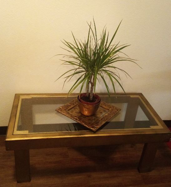 Gold Coffee Table