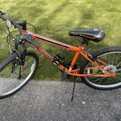 Mountain Bike 24” 