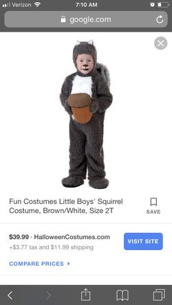 Costume - squirrel - will fit 3 y/o - like new $20